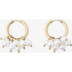 Edblad Metall Örhängen Edblad Pearl Signet Hoops - Gold