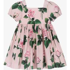 Dolce & Gabbana Baby Girls Pink Cotton Roses Dress Pink