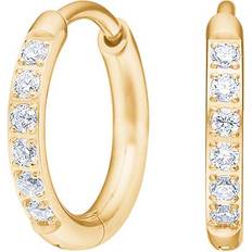 Nordahl Jewellery Guldpläterad Örhängen Nordahl Jewellery Pure Titanium Nikkelfri Hoops Forgyldt - Guldfarvet