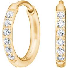 Guld - Titanium Øreringe Nordahl Jewellery Pure Titanium Nikkelfri Hoops Forgyldt - Guldfarvet