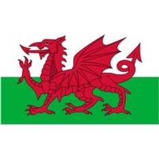 Garden & Outdoor Environment Coopers of Stortford Flag Wales 1.6m x 90cm