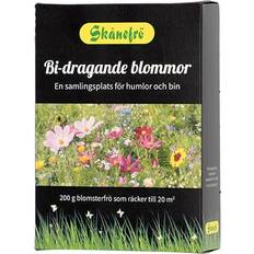 Skånefrö Skånefrö Bi-Dragande Blommor