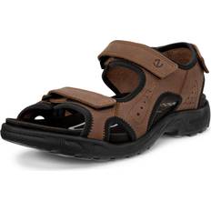 ecco Hike Sandal - Brunt Olieret
