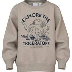 Kashmir Sweatshirts Barnkläder Name It Pure Cashmere Triceratops Sweatshirt - NmmVion