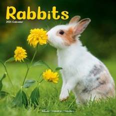 Rabbits Calendar 2026 Square Animal Wall Calendar 16 Month