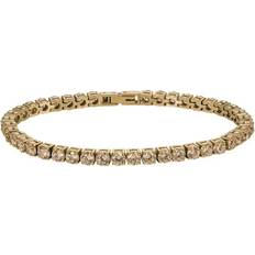 Astrid & Agnes Glimra Armband 3 mm Guld/Champange