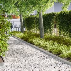 vidaXL Lawn Edgings 10 Pcs 100x0,5x15 Cm Galvanised Steel
