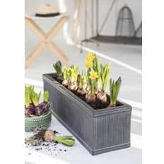 Pots, Plants & Cultivation Garden Trading Bathford Trough 60cm Black