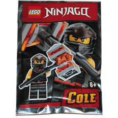 LEGO Ninjago LEGO Ninjago Cole #6 Minifigure Foil Pack Set 891953
