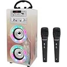 Dynasonic Karaoke Med 2 Mikrofoner Modell 19