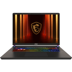 MSI Msi Vector 17 Hx Ai Laptop 17 In Qhd 240Hz