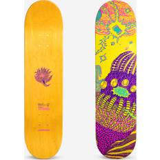 Maple Skateboard Deck DK500 Popsicle Size 8" graphics