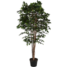 Home ESPRIT Polyetylen Fig Tree 100 x 100 x 210 cm Konstgjord växt