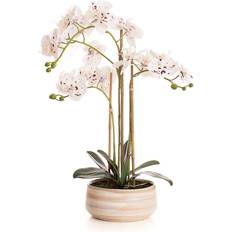 Artificial orchid plant Scottish Everlastings White Speckled Orchid Artificial Plant