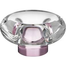 Kynttilänjalat Kosta Boda Orion Ljuslykta 6,3 cm Rosa
