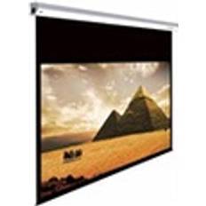 Lumene Majestic HD 270C Motorized Projection Screen