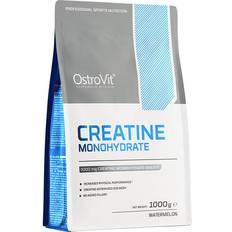 1000g kreatin OstroVit Creatine Monohydrate Watermelon 1000 g