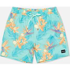 Hurley Volley 17 Boardshorts Tropical Mist 2