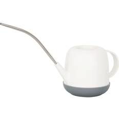 Water Cans on sale Maxpower Modern Indoor Watering Can for Plants House Succulents Bonsai or Long Spout Watering Can White