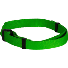 Tick Collar Dog