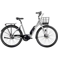 Ambassador AXS M-5 E5 M/L Silver 2023