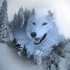 Arts & Crafts Fiyo Diamond Painting Wolves Cross-stitch Kit 30 x 30 cm