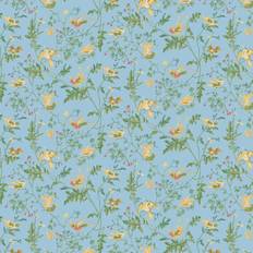 Wallpapers Cole & Son Tapete Hummingbirds Buttercup Yellow Cornflower Blue