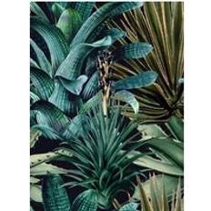 Tapeter Mind the Gap Florale Tapete Lush Succulents WP20164 Green