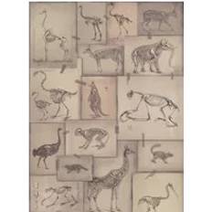 Tapeter Mind the Gap Skelett Tapete Zooarchaeology WP20236 Beige