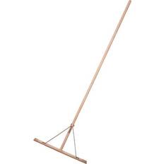Galax Asfaltrager Asketræ 70 cm