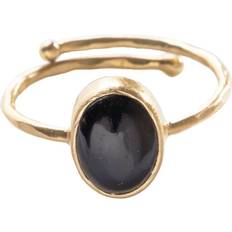 Smycken Beautiful Story Visionary Black Onyx Ring GP Dam Ringar - Gold