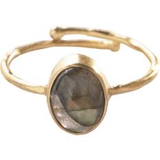 Smycken Labradorite Ring GP Dam Ringar - Gold