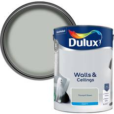 Dulux Walls and Ceilings Matt Emulsion 19 x 23.7 x 18.5 cm - Wall Paint Grey, Green