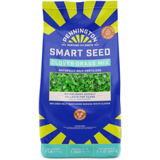Seeds Pennington 7-lb Grass Seed