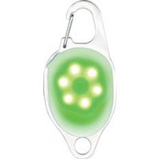 Rechargeable LED Jewel for Dog - Green