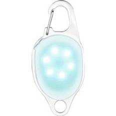 Rechargeable LED Jewel for Dog