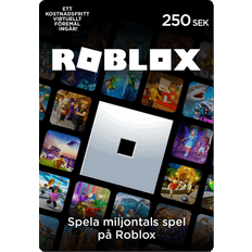 Roblox Presentkort 250 kr