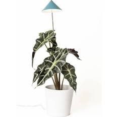 VENSO EcoSolutions LED-Plantlampa för Odling SUNLiTE 7 W Petrol 230 V