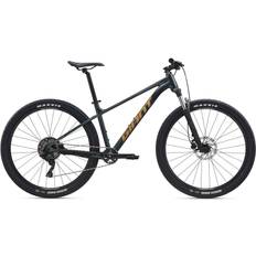 Giant Mountainbikes Giant Mountain Bike Talon 29 2 microSHIFT 2025 Asphalt Green L Size