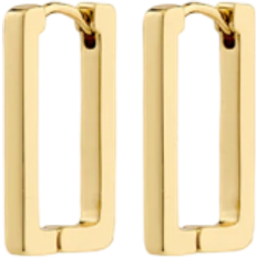 Pilgrim FEEL Örhängen kt. Förgylld mässing 122442003 Dam Brass Gold