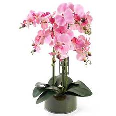 Glass Decorative Items Leaf 50cm Dark Pink Orchid in Glass Planter Artificial Plant