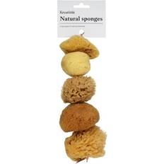 Kreatima Natursvamp Til Akvareller Og Maling 5-pak