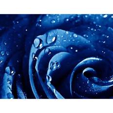 Blåa Diamond Paintings Fiyo Full Round Drill Diamond Embroidery Blue Enchantress 5D DIY Diamond Painting 20 x 30 cm