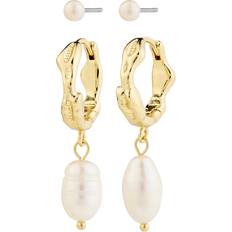 Smykker Pilgrim Jonne Pearl Earrings 2 Sæt - Guld Plated