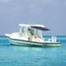 Blue Sail Awnings vidaXL T-Top Shade Extension Set 170x170 cm