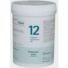 Geneesmiddelen Pflüger Calcium Sulfuricum 12 D6 Schussler