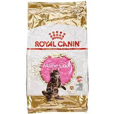 Royal Canin Kattfoder Feline Kitten Maine Coon 36 10 kg 1-pack