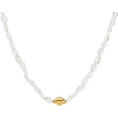 Maanesten Bonadea Necklace Dam Pärlhalsband - Guld