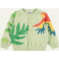 24-36M Koftor Molo Brody Cardigan Jungle - Life
