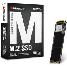 Biostar M700 M.2 NVMe 512 GB